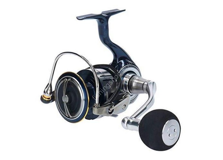 DAIWA 19 Certate LT5000D