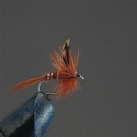 VALLEY HILL Complete Dry Fly D16 March Brown