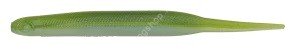 NORIES Lady Fish 3-1/2'' #538 Stain Ayu