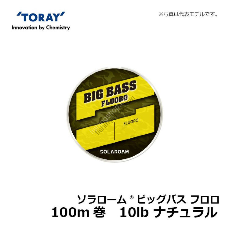 TORAY Solaroam Big Bass Fluoro 100 m 10 lb