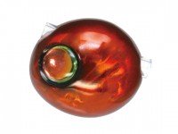 KAIYU Kaijin TG Shanks 80g #Tortoise Shell
