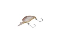 DAIWA Presso Wabkura 30DR #Sakura Mist Red Glow