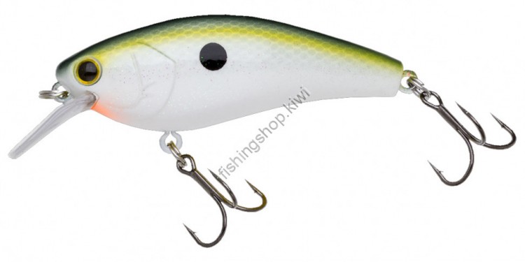 NORIES Complete Square 70 SEXY SHAD