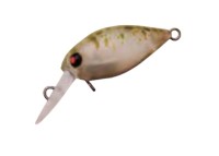 RODIO CRAFT Fat Moca Jr. DR (SS) #35 20 Ino