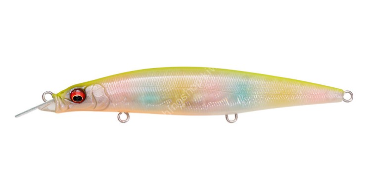 MEGABASS Coocai Bring 130S #Shell Skin Chart Back Rainbow