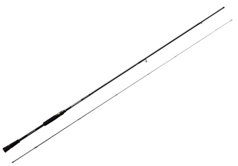 EVERGREEN Zephyr Avantgarde The 