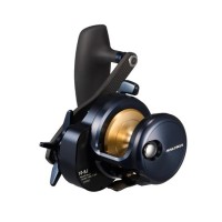 DAIWA 25Saltiga 10H-SJ