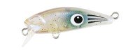 DUO Tetra Works Toto Fat 35F #CCC0653 Baby Aori Glow