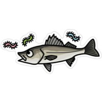 OTHER BRANDS HISAO DESING Sea Bass Sticker