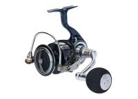 DAIWA 19 Certate LT5000D-XH