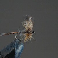 VALLEY HILL Complete Dry Fly D17 Adams