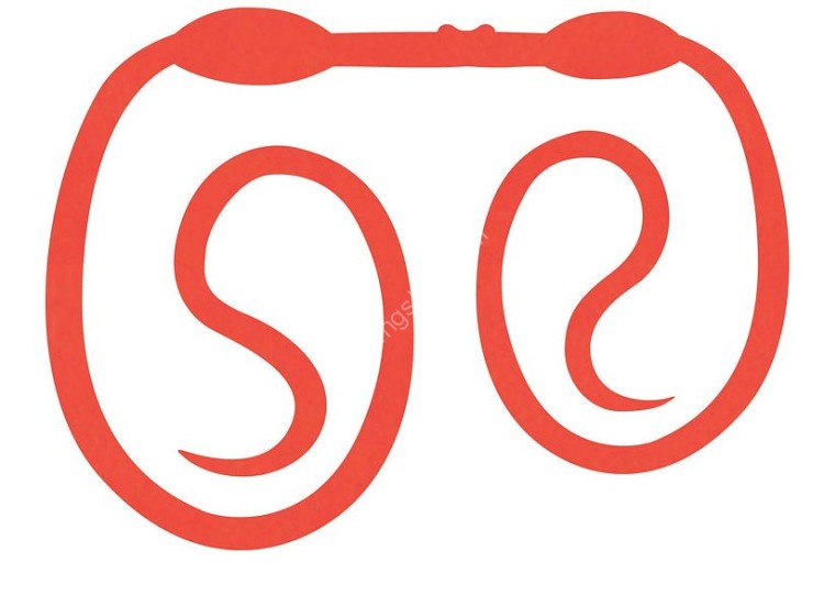 SASA LABO CSC-08 Cobra Slim Curly #08 Shine Orange
