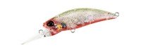 DUO Tetra Works Toto Shad 48S #CZA0778 KuruKuru Bachi