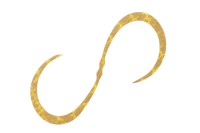 JACKALL BinBin Dama Custom Necktie Curly #F-0113 Ebi Ore Gold