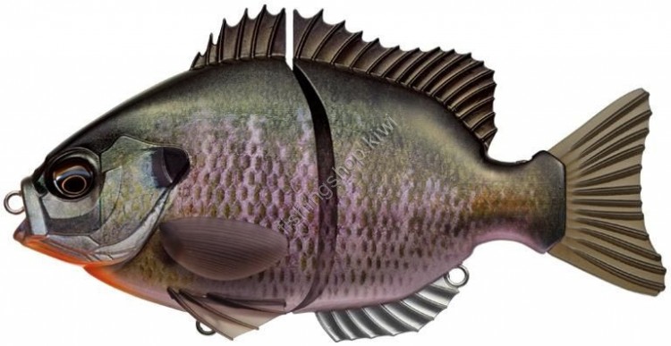 EVERGREEN Bream Slide # 639 Wild Bream