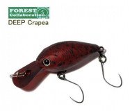 Forest Deep Crapie 02