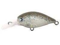 RODIO CRAFT RC Deep Cra-Pea #25 Focus Omame