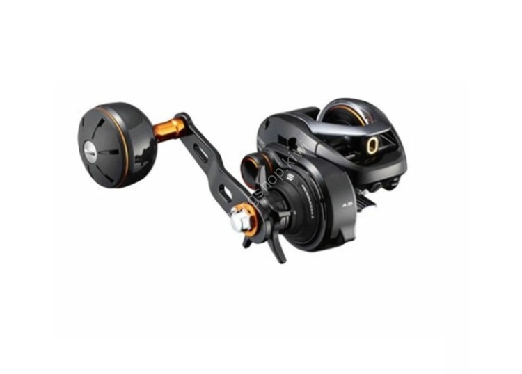 SHIMANO 20 Baygame 300PG Reels buy at Fishingshop.kiwi