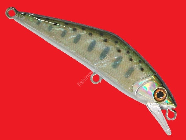 SMITH D-Contact 50 Awabi # 01 Yamame Awabi