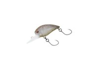 DAIWA Presso Wabkura 30DR #Splash Olive Pearl