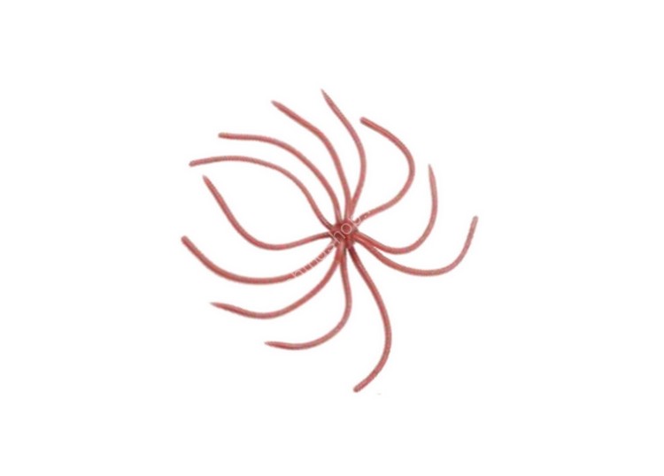 REINS Umbrella Wire #392 Earthworm