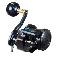 DAIWA 25Saltiga IC 100H-C