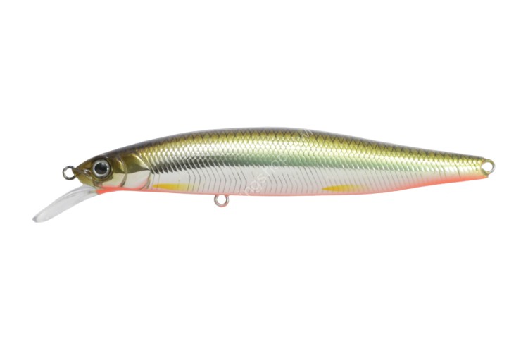 ISSEI G.C. Minnow 89SR-SP #01 Murakami Shad