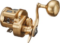 DAIWA 21 Basara IC 250PL
