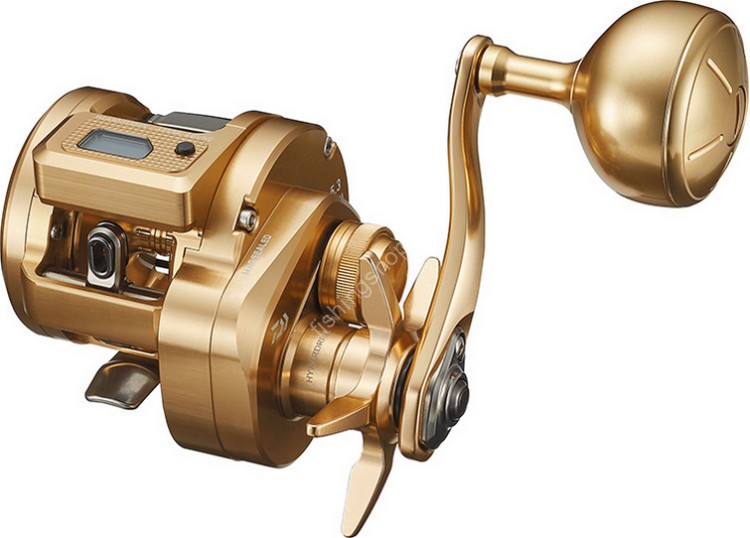 DAIWA 21 Basara IC 250PL
