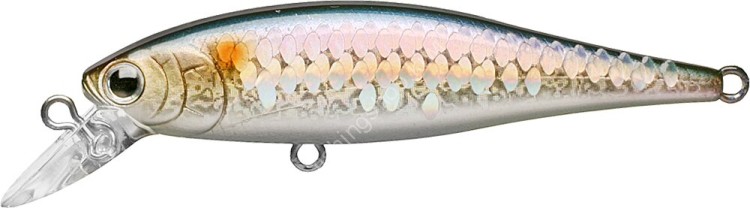 LUCKY CRAFT Pointer 65SP #MS American Shad