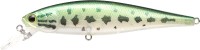 LUCKY CRAFT Pointer 100SP #Baby Bass