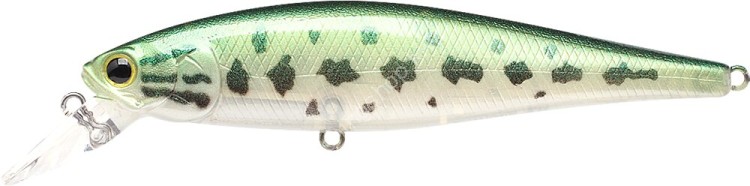LUCKY CRAFT Pointer 100SP #Baby Bass