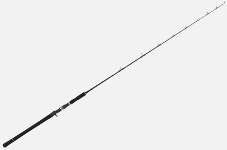 TAILWALK Jigforce SSD C604
