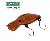 Forest Deep Crapie 03
