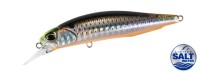 DUO Realis Rozante 77SP SW LTD #CHN0696 Wangan Konoshiro OB