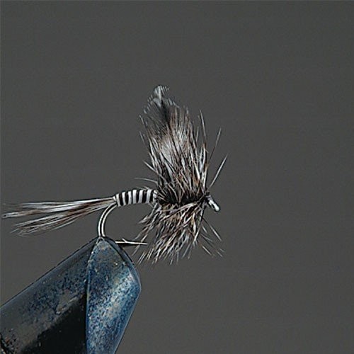 VALLEY HILL Complete Dry Fly D19 Mosquito