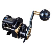 DAIWA 25Saltiga IC 100HL-C