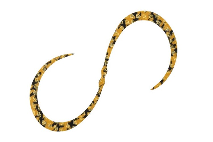 JACKALL BinBin Dama Custom Necktie Curly #F-0324 Striped Orange Gold Lame JACKALL BinBin Dama Custom Necktie Curly #F-0324 Striped Orange Gold Lame