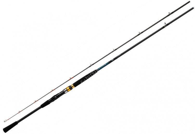 DAIWA Sea Power 73 80-240・N