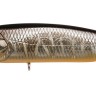 MEGABASS Karashi #MG Tora Kinkuro