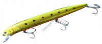 TOKYOBAY GOGO Yokatoki 160SSP 008 BROWN GOLD IWASHI