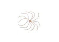 REINS Umbrella Wire SW #489 Shirasa