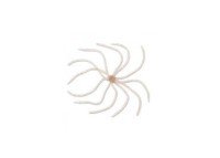 REINS Umbrella Wire SW #489 Shirasa