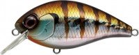 EVERGREEN Combat Crank Shallow Hawg # 50 Baby Gill