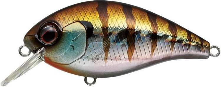 EVERGREEN Combat Crank Shallow Hawg # 50 Baby Gill