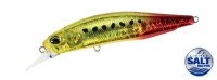 DUO Realis Rozante 77SP SW LTD #CPA0678 Burning Gold Iwashi