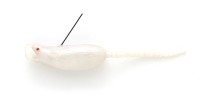 IMAKATSU Popper Mouse 90 #S-517 White Rat