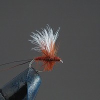 VALLEY HILL Complete Dry Fly D2 CDC Solax Dan BR