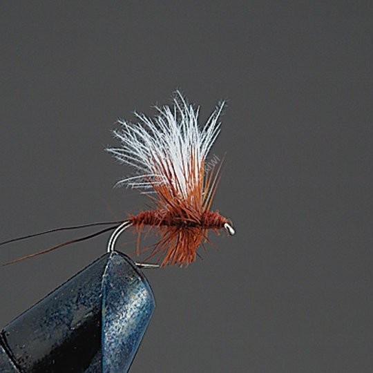 VALLEY HILL Complete Dry Fly D2 CDC Solax Dan BR