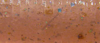 BAIT BREATH U30 Fish Tail Shad 2.8 #715 Pink Shadow